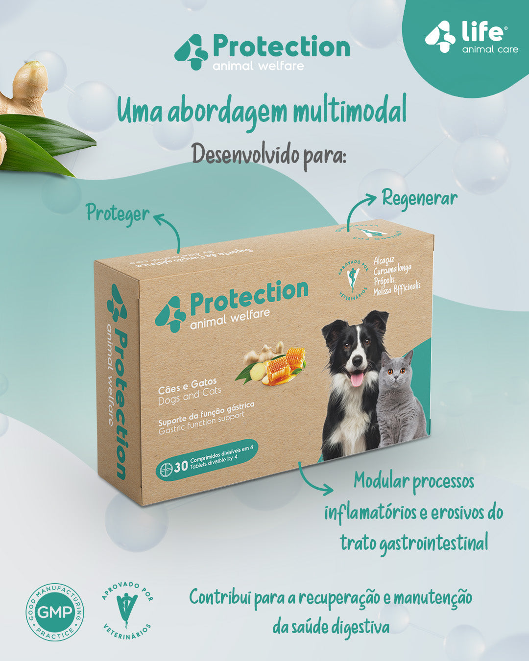 4Protection — Proteção gástrica e bem-estar digestivo