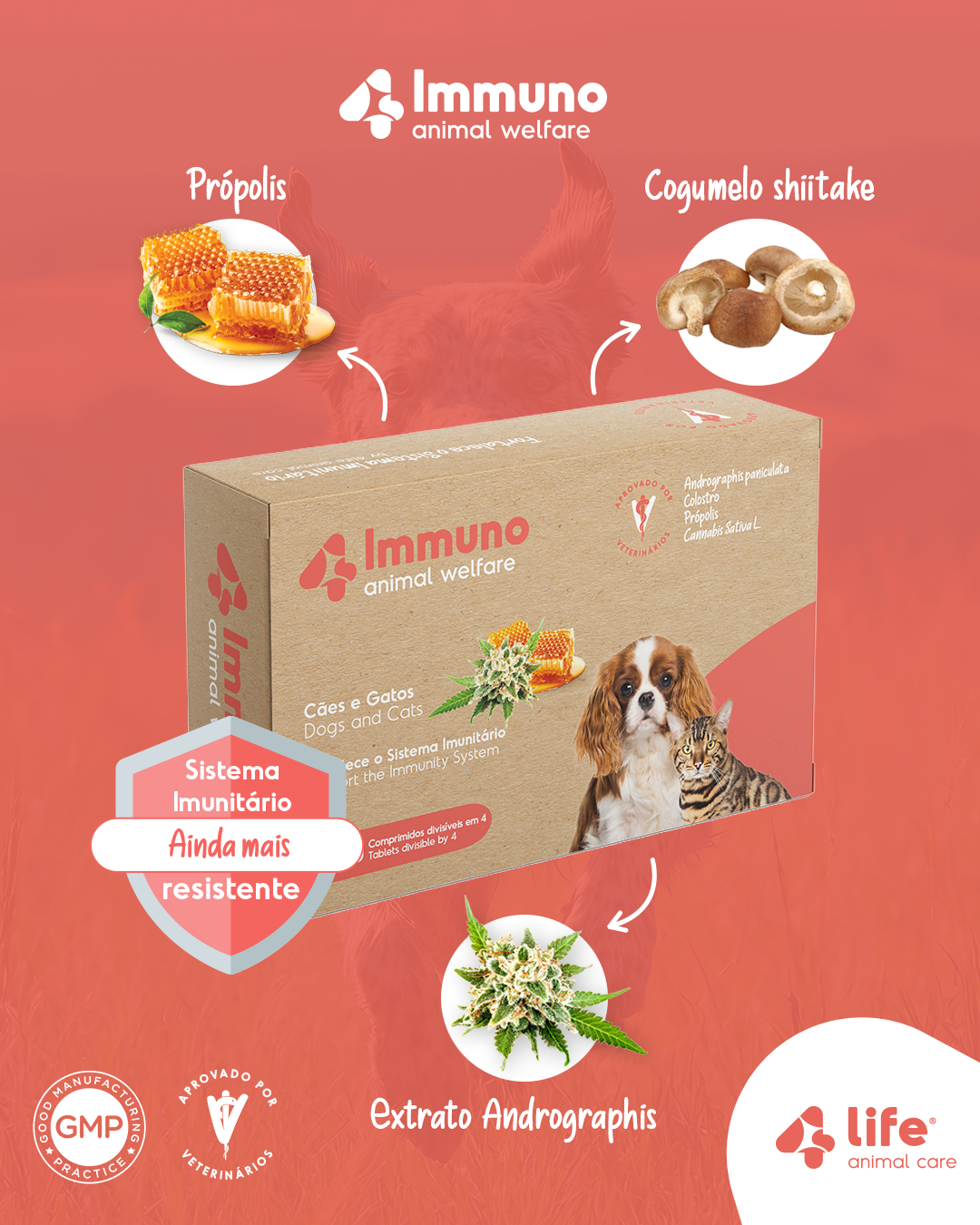 4Immuno - Fortalece o Sistema Imunitário