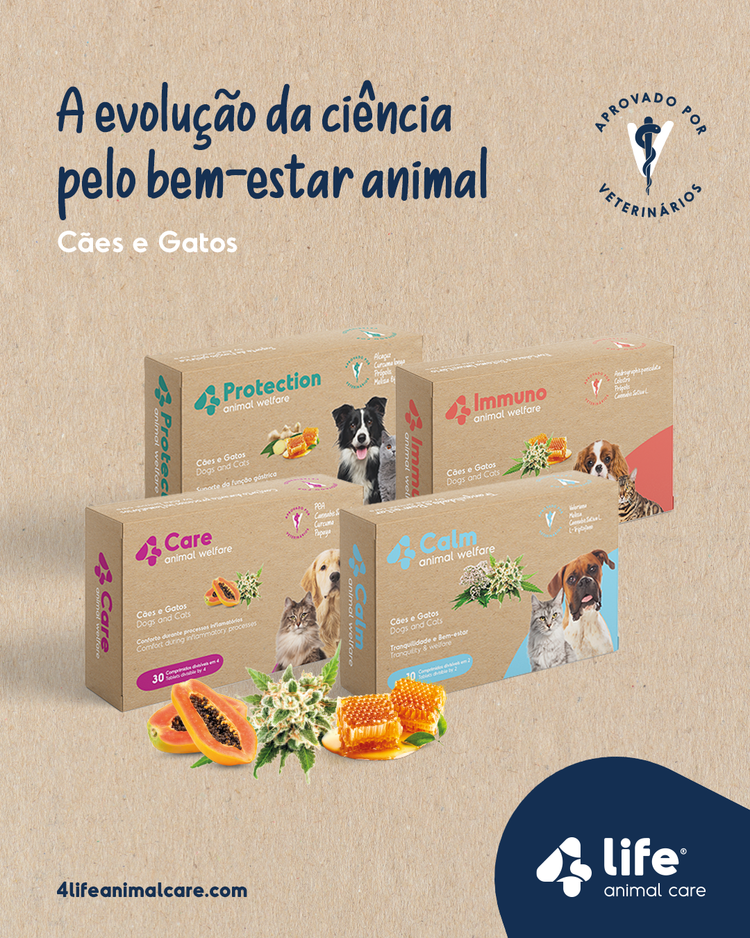 Suplementos Naturais para Cães e Gatos