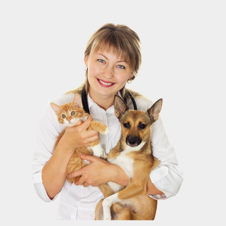 Bem-estar cão e gato