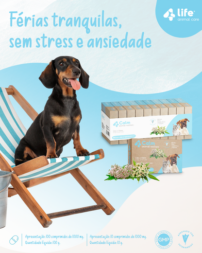 4Calm - Tranquilidade e Relaxamento para momentos de stress e ansiedade.