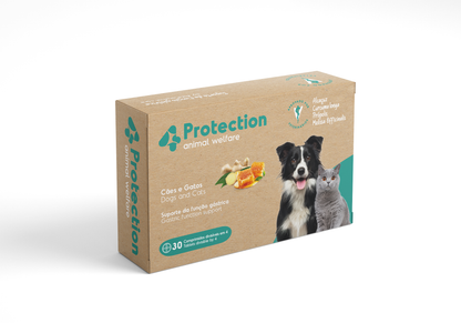 4Protection — Proteção gástrica e bem-estar digestivo