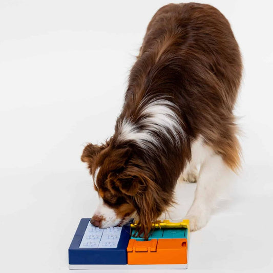 Puzzle e Jogo Interativos para cão e gato