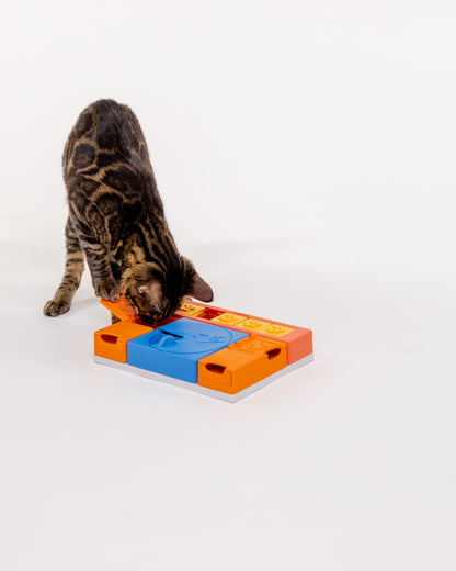Curious Cat - PAWZLER