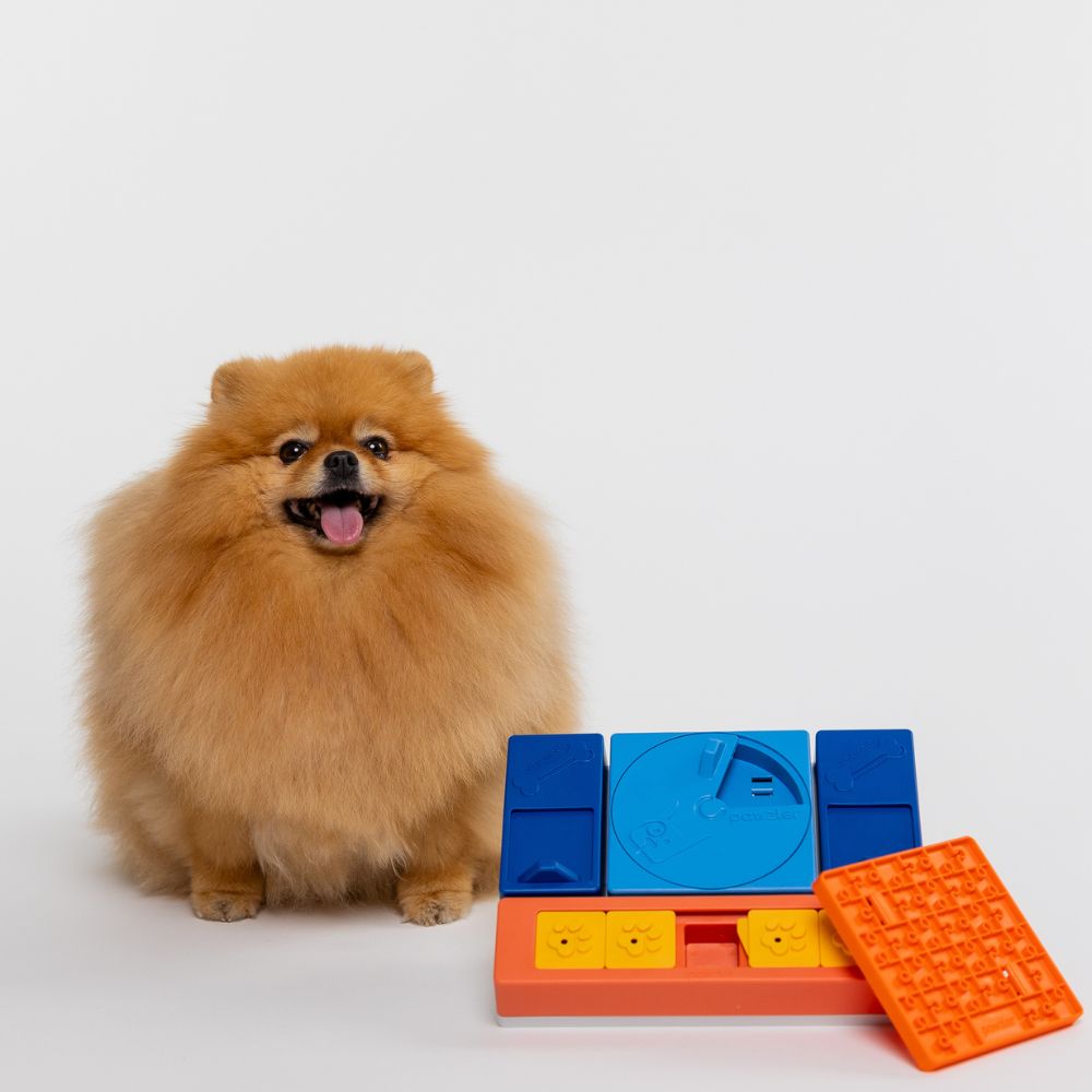 PAWZLER Rainbow - Jogos e Brinquedos Interativos para Cães e Gatos