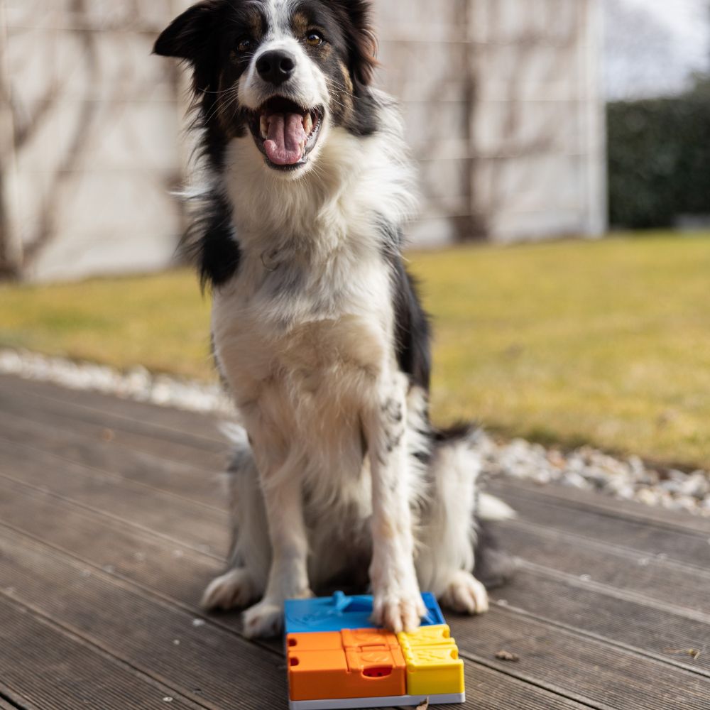 Puzzle Rainbow -  PAWZLER