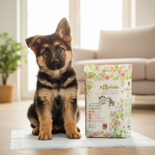 Resguardos com Perfume Floral para Cães -  Ferribiella