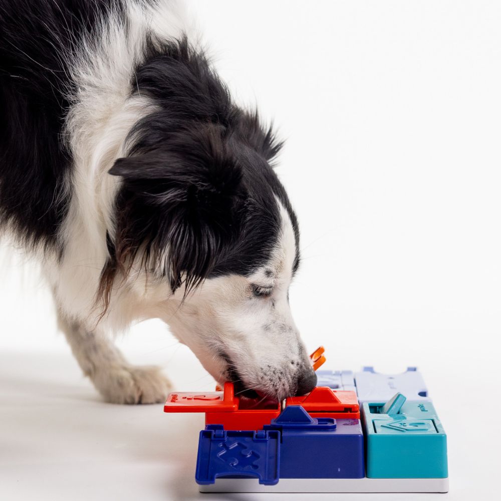 Puzzle Genius -  PAWZLER